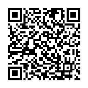 而手中那把昏晓错星辰正安静的以剑形躺在它膝上上二维码生成