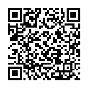 而手腕上却有着一道被缠了一圈的赤魂鞭勒起的红痕二维码生成