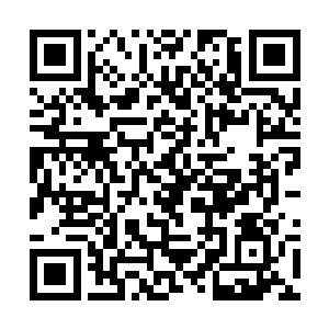 而手里的这条食血鬼竟然直到吃饭的时候才出现偷袭二维码生成