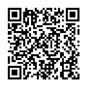 而打开个人属性面板后看着上涨了一点点的属性二维码生成