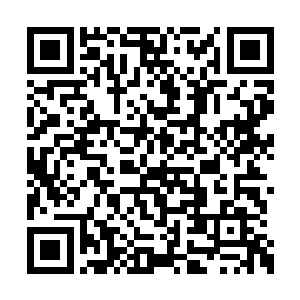 而把冷见血给弄得半死不活的代离此刻目光一扫二维码生成