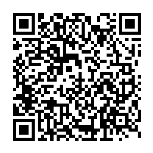而拥有这对大鹏目的人赫然正是孙家军足以排入前三甲的猛将周泰二维码生成