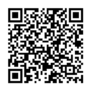 而据我所知纯真道人是不可能给别人说他儿子的事情的二维码生成