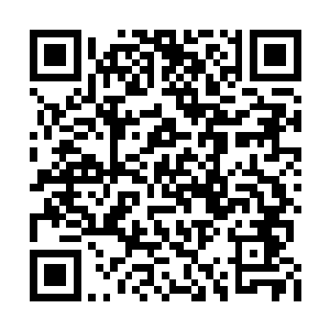 而掌心和手背都要浮现出无数道熊熊燃烧的符文二维码生成