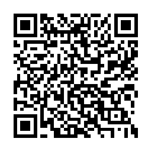 而掌门太清真人似乎比当初的自己还要强出一线二维码生成