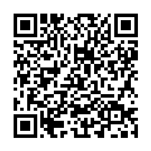 而收集好后琴瑟色刚才连那根羽毛都单独拆了下来二维码生成