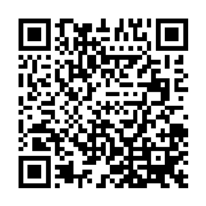 而整个布莱克森人族走廊每年死于滑翔机运动的人加起来二维码生成