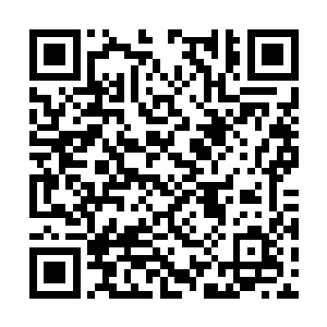 而整个秦家上下并无一人为这些失踪之人担忧……二维码生成