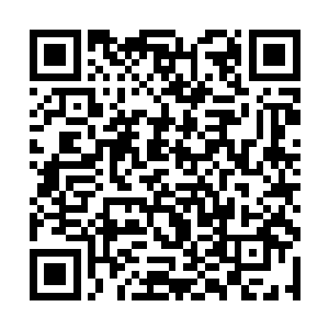 而整个龙族此时也进入到了前所未有的高度警戒之中二维码生成