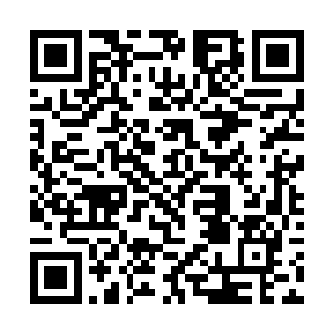 而旁边一直拦着他们的小霓和习习也显得格外的尴尬二维码生成