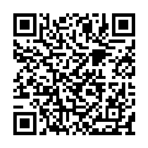 而旁边的奴才一见瑰丽甩摔倒了就全部都慌了神二维码生成