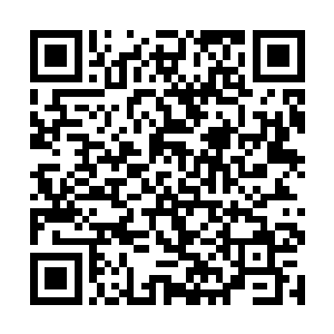 而无名则是在普通圣果的帮助下突破了九天玄仙初期二维码生成