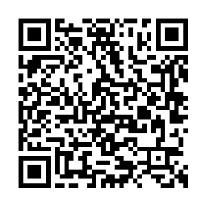 而无眠者根据逻辑判断这个计划的可行性和效果二维码生成