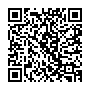 而早已经在女人堆中滚过无数来回的张铁只是看了这个女人一眼二维码生成