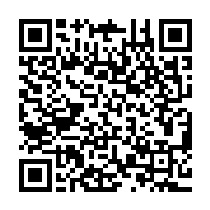 而昊阳真人和黄立辰虽然因为给我和赵茜震慑到而停顿了下来二维码生成