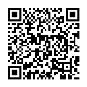 而明湖文化的演出部和HUNAN卫视临时组建的演出部二维码生成