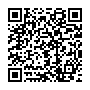 而星空娱乐的法务部更是根据在杜正泽接片前跟公司签署的合同二维码生成