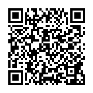 而星遥和星梓则带着流墨墨绕过人群走向地下空间的内侧二维码生成