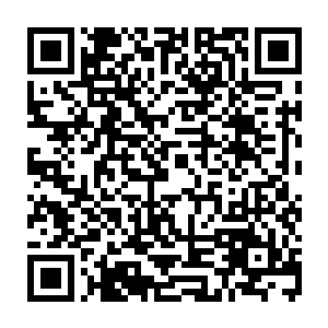 而昨天晚上和川中医生一起给酒井正阳做手术的女孩则是川中医生的小女儿二维码生成