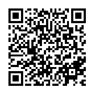 而是……与梓箐传承记忆中的一种恶魔化身很像――蝙蝠石像二维码生成