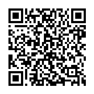 而是一个名为雷吉斯的法师团体实验失败的产物二维码生成