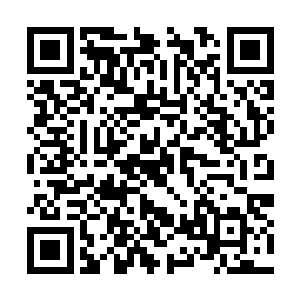 而是一堆宗门世家为了争夺权力而召开的分赃大会二维码生成