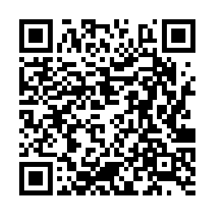 而是专注地打量着悬浮有他头顶的那一片域界之中二维码生成