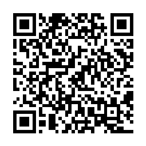 而是两个刑警的日常生活――他们一个厌倦了世间的丑恶二维码生成