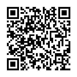 而是两道沛然莫御的巨大力量直接对冲产生的回响二维码生成