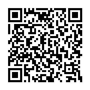 而是为了追查电脑的下落以及是谁袭击的郑卫华二维码生成