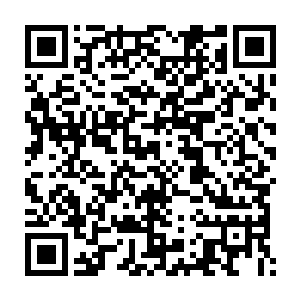 而是为我家大力新成立的这家大力泛娱乐民用科技集团公司来做申请的二维码生成