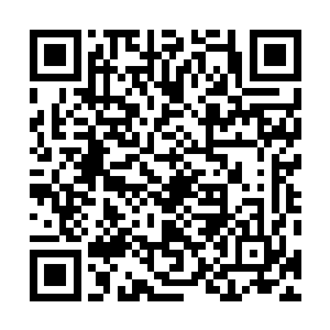 而是从尸球的核心处居然出现了一个大概丈余大小的黑洞二维码生成