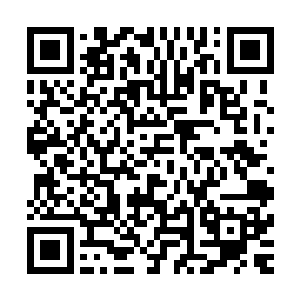 而是从狙击手的眼皮子底下――他的正面山脚开始发动了冲锋二维码生成