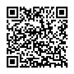 而是从自己的空间戒中拿出了那绿魔狂蟒的晶核二维码生成