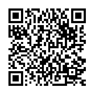 而是他们不想在春节临近的时候和自己为这件事情弄得不愉快二维码生成