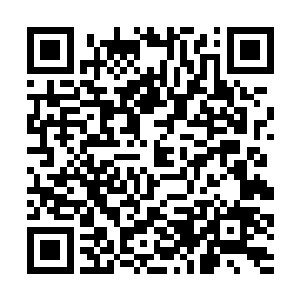 而是他们体内的力量和他们的生命力都会紫雾剥削了二维码生成