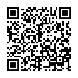 而是他们那配备了夏云杰给他们炼制的阵旗的亲兵二维码生成