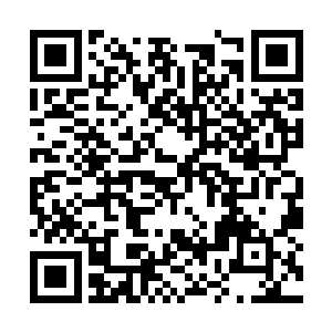 而是他发现自己和这头老乌龟完全不在一个频道上二维码生成