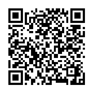 而是他在进入这片土地后就发现这片土地非常适合栽种水稻二维码生成