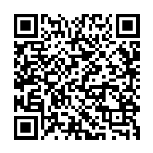 而是他的身体轮廓和气质非常像我在挽风界主那里看到的人影二维码生成
