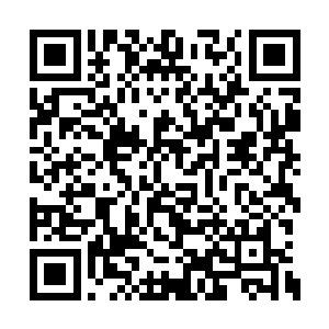 而是以迅雷不及掩耳之势融合进仙镜的光柱之中二维码生成