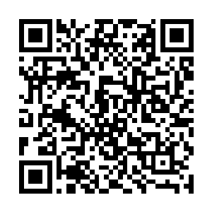 而是伸出了自己的右拳朝着金牛圣骑的拳头迎了上去二维码生成