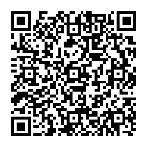 而是伸手让阿怒摸出一个有喷射烧灼功能的高温打火机几下就让链子烧红然后冷却二维码生成