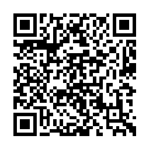 而是你们韩非世家的历代先辈用血汗换来的东西二维码生成