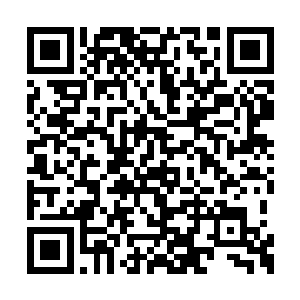 而是你体内一定有着某些强大的功法在支撑着你二维码生成