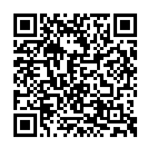 而是倒进了一个有着淡淡薄荷清凉味儿的怀抱中二维码生成