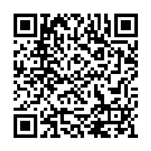 而是元婴期修士的威压主要是针对空中的逃跑者二维码生成