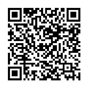而是先以玉盒把第一根和第三根图腾铜柱下的收集走了二维码生成