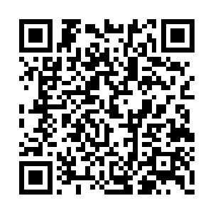 而是先服食仙丹恢复自己损耗的元力和元神之力二维码生成