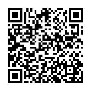 而是出了金茂大厦骑着自行车一路直奔嘉华小区而去二维码生成